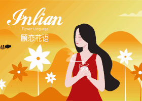 无锡市著见包装设计有限公司