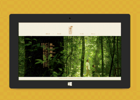 13.gif