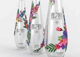 武汉知安品牌设计有限公司