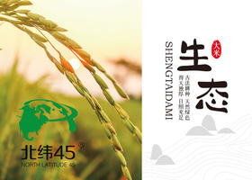 长春五羊品牌设计有限公司