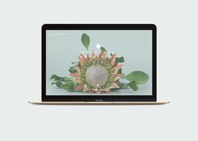 大连品景堂设计有限公司