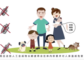 深圳花点视频制作有限公司