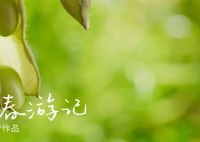 贵州灵与睿品牌设计有限公司