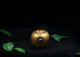 6.gif