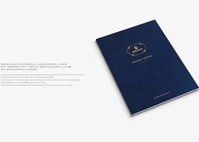 南京智力品牌设计有限公司