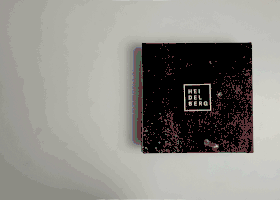 13.gif