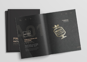 VI (视觉识别 Visual Identity)系统包括: