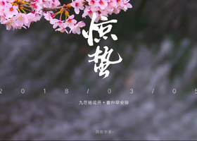 广州龙堂视频制作有限公司