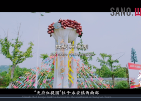 广州红罗品牌设计有限公司