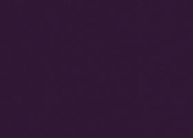 10.gif