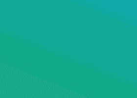 11.gif