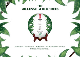 温州后浪设计有限公司