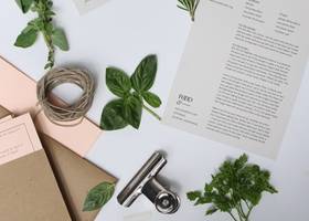 深圳市美创品牌设计有限公司