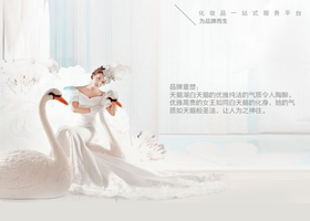 合肥施艾思化妆品有限公司