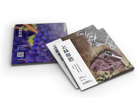 武汉之自古品牌设计有限公司