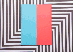 11.gif