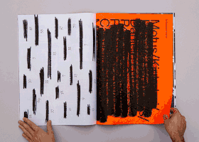 8.gif