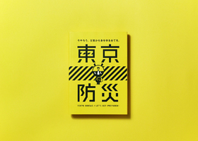 河南毛豆品牌设计有限公司