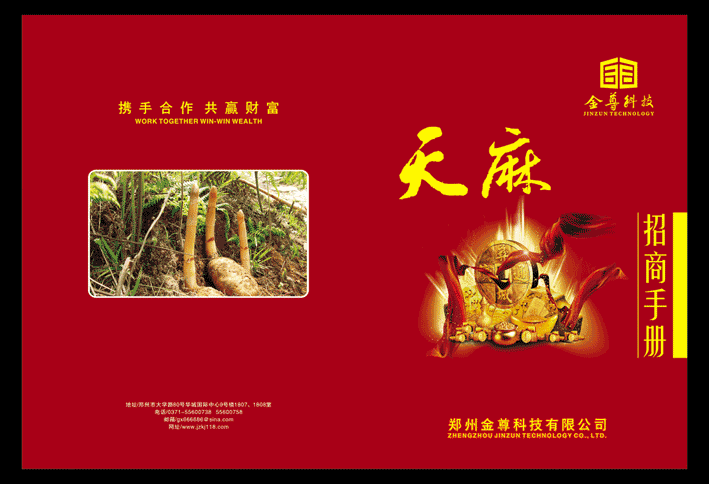 图案化的书眉
