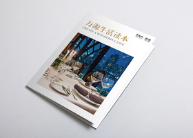 苏州见素品牌设计有限公司