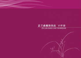 广州龙堂品牌设计有限公司