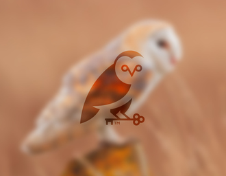 9.jpeg