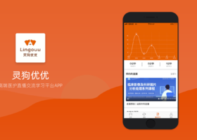 功能性原则