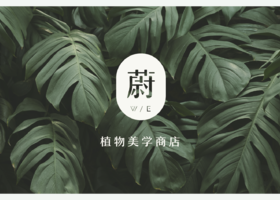 东莞市盈造 商标logo设计设计咨询有限公司