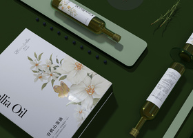 南昌市天虹品牌设计