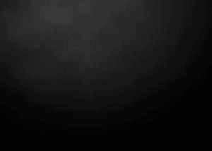 17.gif