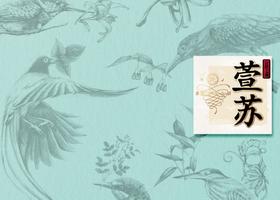 合肥明熙平面设计有限公司
