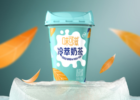 有方案预算