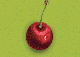 13.gif