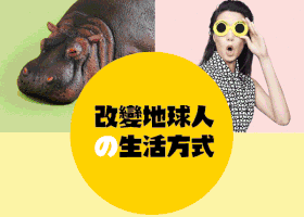16.gif