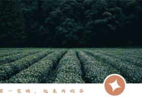 上海木马设计有限公司