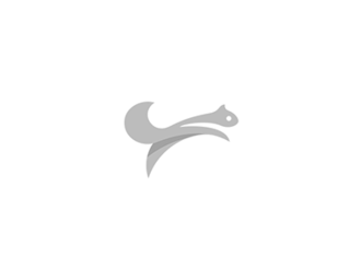 11.png