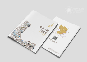 广州龙堂品牌设计有限公司