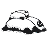 1.gif