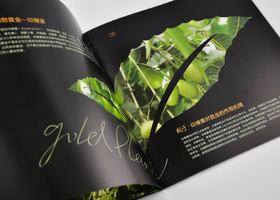 元晖通(深圳)广告设计有限公司