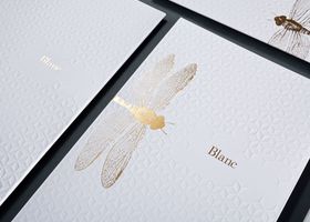 成都反盾品牌设计有限公司