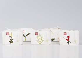广州蓝氏品牌设计有限公司