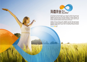 东莞市迪欧品牌设计有限公司