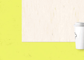 16.gif