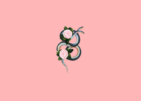 6.png