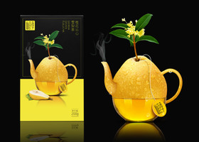 西安天华包装设计有限公司