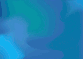5.gif