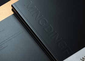 大连思格品牌设计有限公司