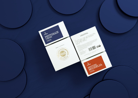 什么是VI(Visual Identity )