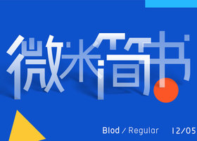 合肥纵美 商标有限公司
