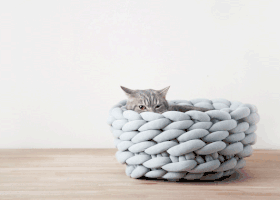 9.gif